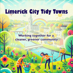 Limerick City Tidy Towns working together for a cleaner, greener community